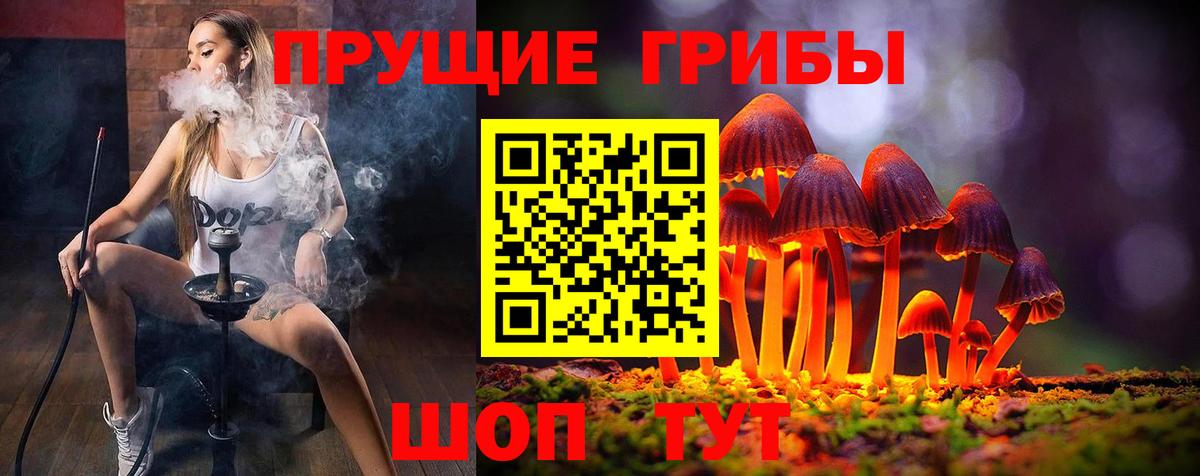 Ливны  Галлюциногенные грибы Psilocybe  Псилоцибиновые грибы Psilocybe  Вход с VPN 